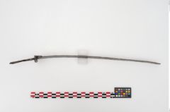 Foto von Eisenantennendolch (NHMW-PRAE-024396)